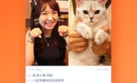 揭秘自媒体视频号，发布视频能否带来财富？