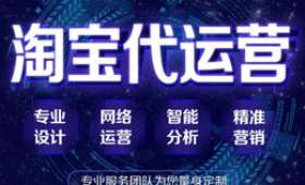直播电商项目计划书——创新销售模式的关键策略